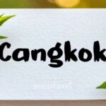 Cangkok Font - Featured Image