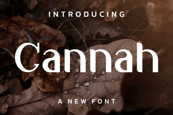 Cannah Font - Featured Image