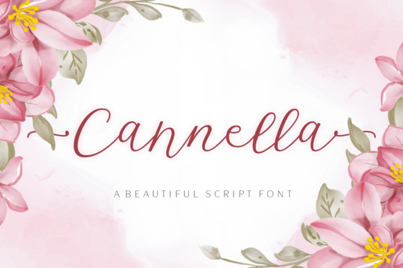 Cannella Font - Featured Image