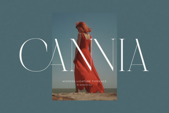 Cannia || Ligature Typeface Font - Featured Image