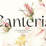 Canteria Font - Featured Image