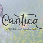 Cantica Script Font - Featured Image