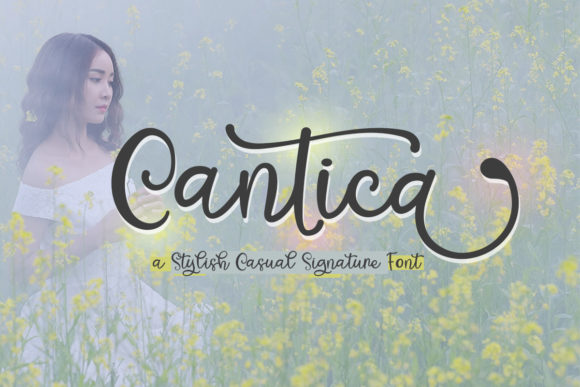 Cantica Script Font - Featured Image
