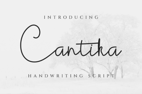 Cantika Font - Featured Image