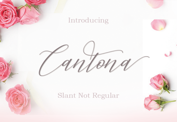 Cantona Font - Featured Image