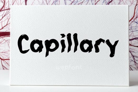 Capillary Font - Featured Image