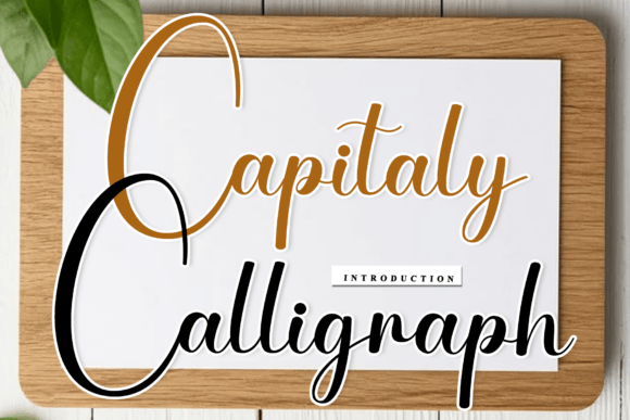 Capitaly Calligraph Font - Featured Image