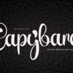 Capybara Font - Featured Image