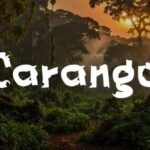 Carango Font - Featured Image