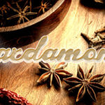 Cardamom Font - Featured Image