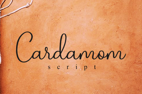 Cardamom Script Font - Featured Image