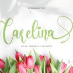 Carelina Font - Featured Image