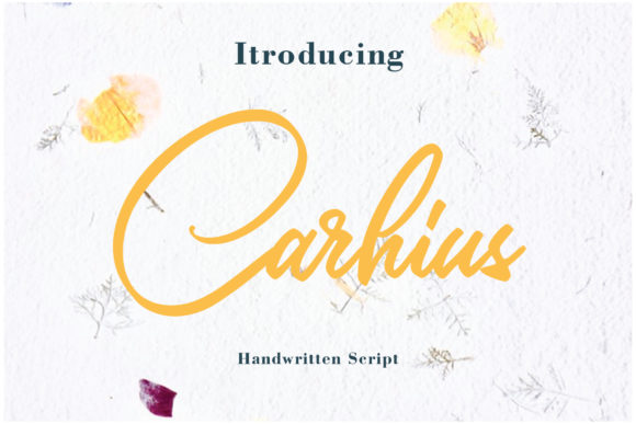 Carhius Font - Featured Image