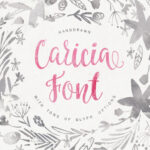 Caricia Font - Featured Image