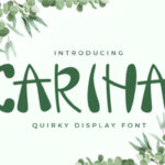Carina Font - Featured Image