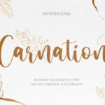 Carnation Font - Featured Image