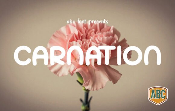 Carnation Font - Featured Image