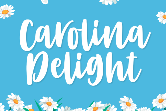 Carolina Delight Font - Featured Image