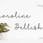 Caroline Bellish Font - Featured Image