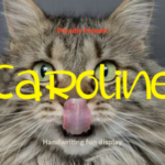 Caroline Font - Featured Image