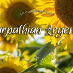 Carpathian Legend Font - Featured Image