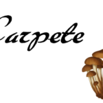 Carpete Font - Featured Image
