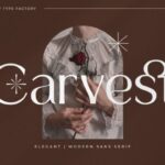Carvest Font - Featured Image
