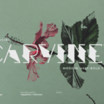 Carvinet Font - Featured Image