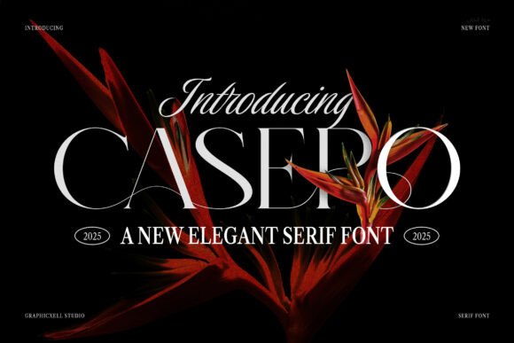 Casero Font - Featured Image