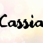 Cassia Font - Featured Image