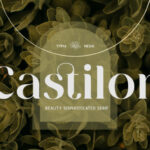 Castilon Font - Featured Image