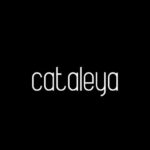 Cataleya Font - Featured Image