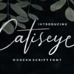 Catiseye Font - Featured Image