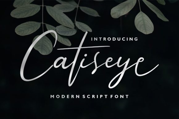 Catiseye Font - Featured Image
